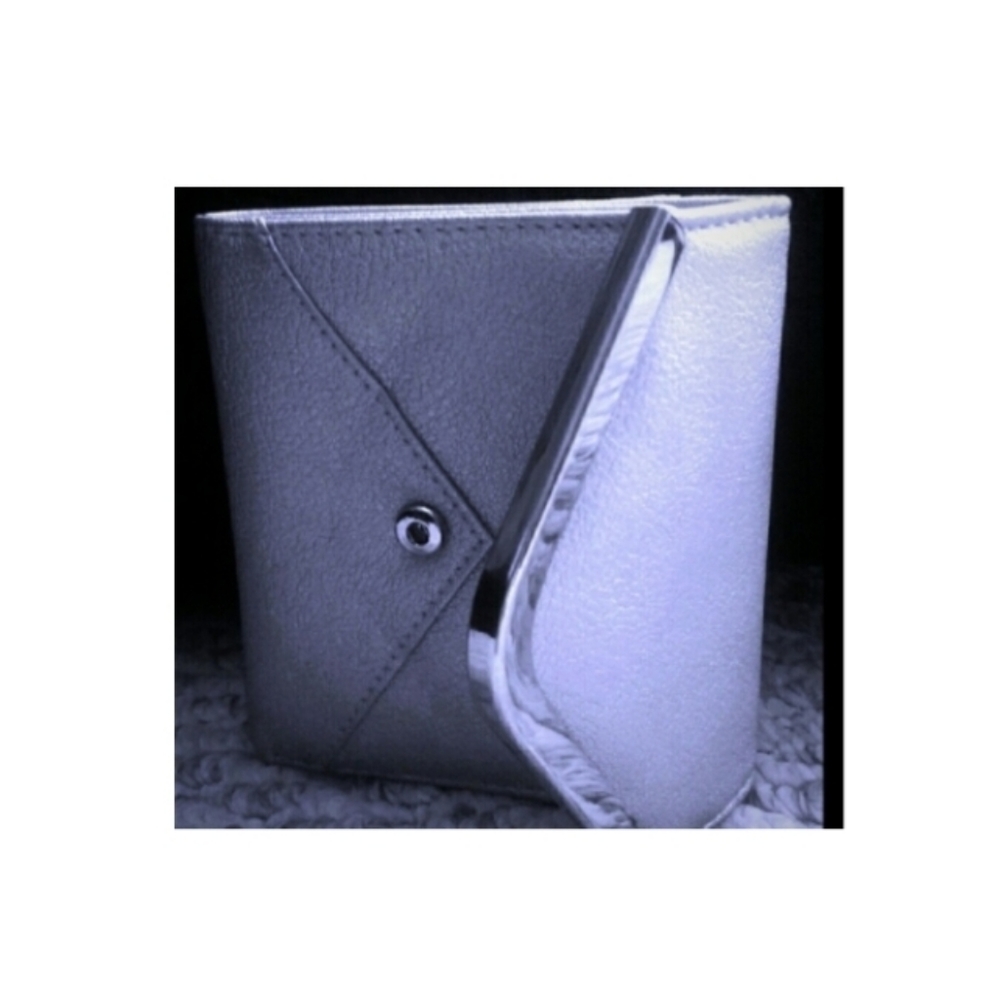 Elegant Silver Wallet 4"x4"